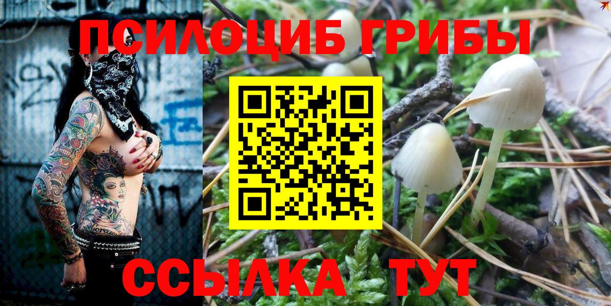 Галлюциногенные грибы MAGIC MUSHROOMS Назрань